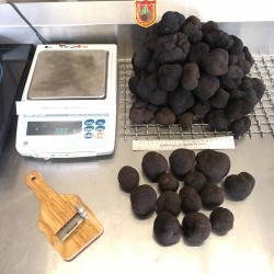  A-grade Truffles are great for infusing. Large pack size Eg. the pair next to eggs, or the Single on table. (Slicer not include