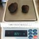 Fresh Black Winter Truffle (T. melanosporum)